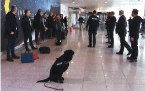 dynamische explosievenhond